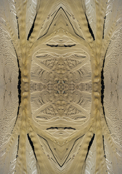 An intricate patern formed by the sea and beach sand
